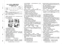 河南省商丘市睢县2025-2026学年九年级上学期11月期中道德与法治试题