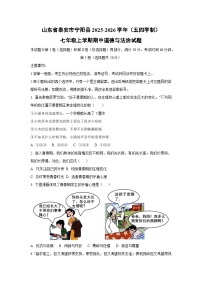 2025-2026学年山东省泰安市宁阳县(五四学制)七年级上学期期中道德与法治试题（学生版）