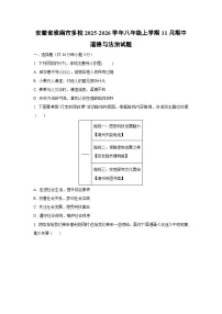 安徽省淮南市多校2025-2026学年八年级上学期11月期中道德与法治试卷（学生版）