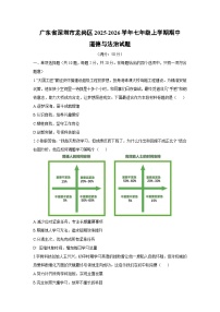 广东省深圳市龙岗区2025-2026学年七年级上学期期中道德与法治试卷（学生版）