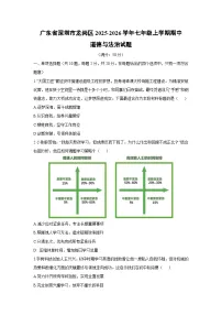 广东省深圳市龙岗区2025-2026学年七年级上学期期中道德与法治试卷(学生版)