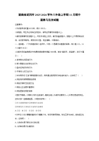 湖南省武冈市2025-2026学年八年级上学期11月期中道德与法治试卷（学生版）