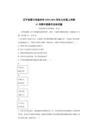 辽宁省营口市盖州市2025-2026学年九年级上学期11月期中道德与法治试卷（学生版）