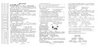 陕西省渭南市某校2025-2026学年九年级上学期12月月考道德与法治试卷