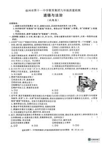 安徽省宿州市埇桥区第十一中学教育集团2025-2026学年九年级上学期第三次月考道德与法治试卷
