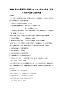 2025-2026学年湖南省永州市零陵区零陵区八校联考九年级上学期11月期中道德与法治试卷（学生版）