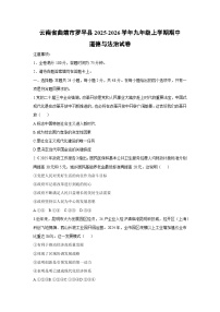 2025-2026学年云南省曲靖市罗平县 九年级上学期期中道德与法治试卷（学生版）