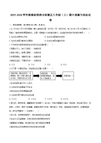 2025-2026学年湖南省株洲市荷塘区八年级（上）期中道德与法治试卷-自定义类型