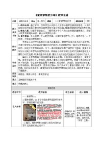 政治 (道德与法治)做有梦想的少年教案及反思
