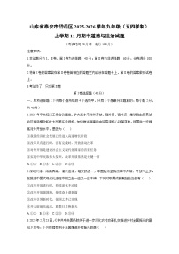 2025-2026学年山东省泰安市岱岳区九年级(五四学制)上学期11月期中道德与法治试卷（学生版）