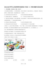 2024-2025学年山东省菏泽市成武县八年级（上）期末道德与法治试卷（有答案）