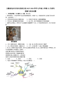 【7道第三次月考】安徽省池州市东至县部分校2025-2026学年七年级上学期12月联考道德与法治试题（含解析）