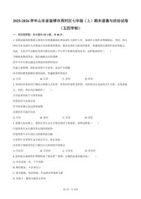 2025-2026学年山东省淄博市周村区七年级（上）期末道德与法治（五四学制）试卷（含答案）