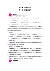 初中政治 (道德与法治)人教版（2024）七年级下册（2024）青春的邀约教案设计