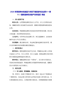 初中政治 (道德与法治)人教版（2024）八年级下册（2024）国家监察机关的产生和性质教案设计