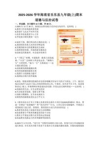 2025-2026学年海南省乐东县九年级（上）期末道德与法治试卷（含答案）
