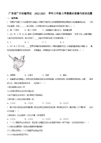 广东省广州市越秀区2022-2023学年八年级上学期期末道德与法治试题（含答案）
