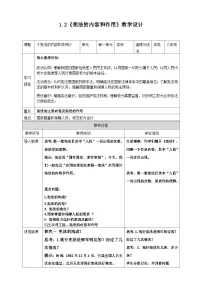 初中政治 (道德与法治)人教版（2024）八年级下册（2024）宪法的内容和作用教学设计