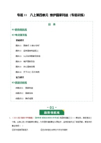 2026年中考道德与法治一轮复习讲练测专题11 维护国家利益（专题训练）（全国通用）（解析版）含答案