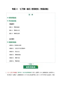 2026年中考道德与法治一轮复习讲练测专题20 青春时光（专题训练）（全国通用）（解析版）含答案