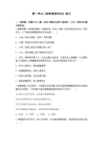 人教版（2024）七年级下册（2024）单元综合与测试当堂检测题