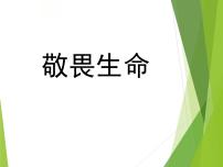 初中政治思品人教部编版七年级上册（道德与法治）敬畏生命示范课ppt课件