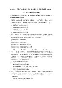 2020-2021学年广东省梅州市大埔县茶阳片区四校联考九年级（上）期末道德与法治试卷    解析版