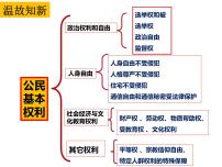 八年级下册（道德与法治）依法行使权利课堂教学课件ppt