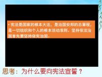 八年级下册（道德与法治）坚持依宪治国优秀ppt课件