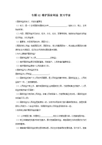 2021年中考九年级道德与法治专题12 维护国家利益 复习学案（无答案）