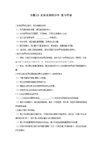 2021年中考九年级道德与法治专题23 走向未来的少年 复习学案(无答案)