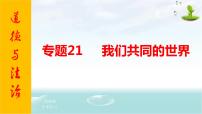 2021年中考九年级道德与法治专题21 我们共同的世界 复习课件