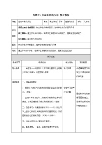 2021年中考九年级道德与法治专题23 走向未来的少年 复习教案