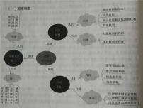 初中政治思品人教部编版八年级下册（道德与法治）第二单元 理解权利义务综合与测试复习ppt课件