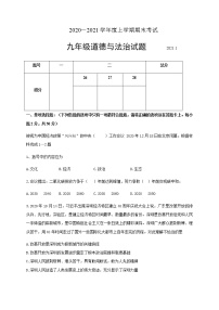 山东省临沂市临沭县2020-2021学年九年级上学期期末考试道德与法治试题（word版 含答案）