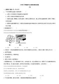 期末模拟检测题   2020-2021学年人教版道德与法治八年级下册（word版 含答案）