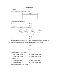 高中地理鲁教版 (2019)必修 第一册第三节 地球的圈层结构同步训练题