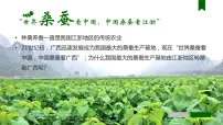 必修 第二册第一节 农业区位因素及其变化完美版课件ppt