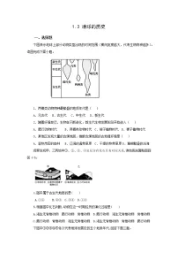 高中地理人教版 (2019)必修 第一册第三节 地球的历史课时训练