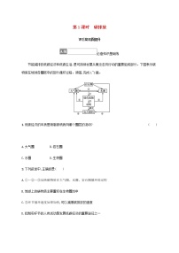 高中地理鲁教版 (2019)选择性必修3 资源、环境与国家安全第一节 自然资源与人类活动第1课时随堂练习题