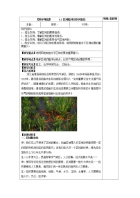 人教版 (2019)选择性必修2 区域发展第二节 区域整体性和关联性获奖教案