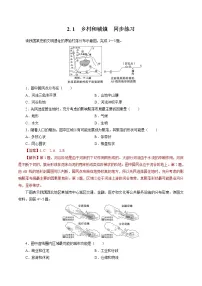 2021学年第一节 乡村和城镇空间结构随堂练习题