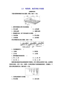 高中湘教版 (2019)第三节 喀斯特、海岸和冰川地貌优秀巩固练习