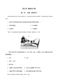 高中地理人教版 (2019)必修 第一册第二节 土壤课时训练