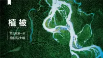 高中地理人教版 (2019)必修 第一册第一节 植被图片课件ppt
