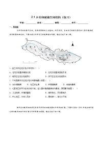 高中地理人教版 (2019)必修 第二册第一节 乡村和城镇空间结构精品课时作业