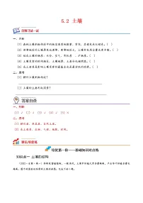 高中地理人教版 (2019)必修 第一册第二节 土壤同步训练题