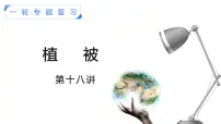 【备战2023高考】地理考点全复习——18《植被》复习课件(新教材新高考)