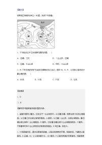 2022-2023学年安徽省合肥市第一中学高三上学期11月月考地理试题含解析