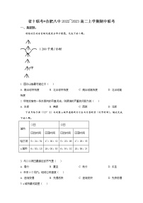 安徽省省十联考（合肥八中等）2022-2023学年高二地理上学期期中试题（Word版附答案）